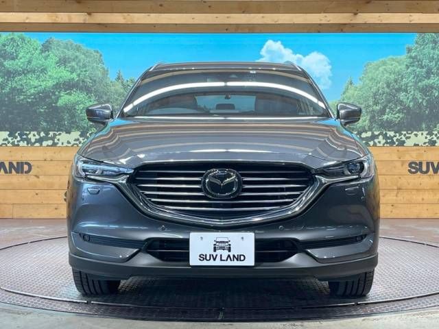 Mazda CX-8 2019-09 193753-15