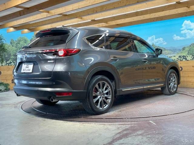 Mazda CX-8 2019-09 193753-18