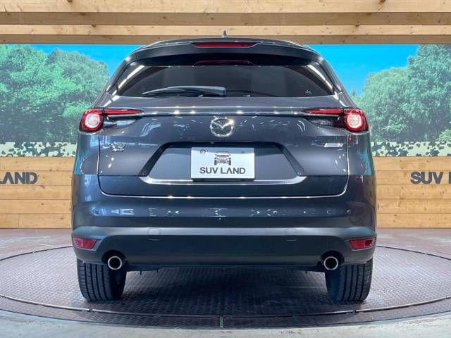 Mazda CX-8 2019-09 193753-16