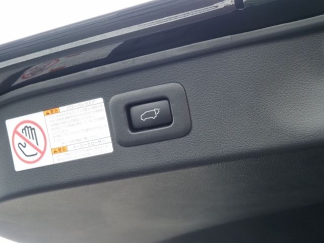 Toyota VELLFIRE 2020-02 19294-18