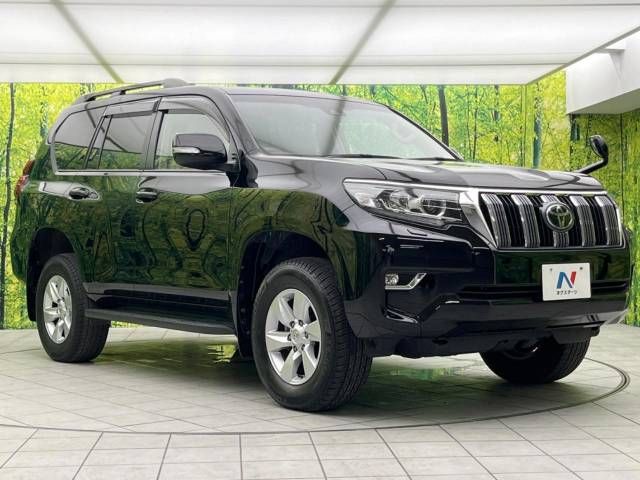 Toyota PRADO 2019-10 187019-16