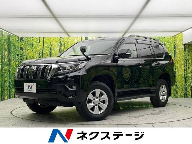 Toyota PRADO 2019-10 187019-0