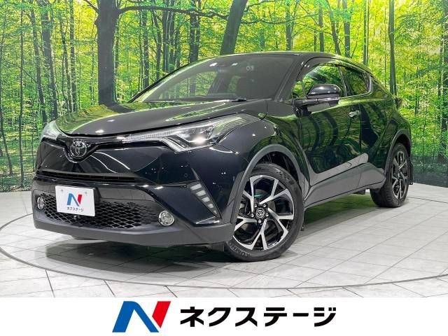 Toyota C-HR 2018-03 195845-0