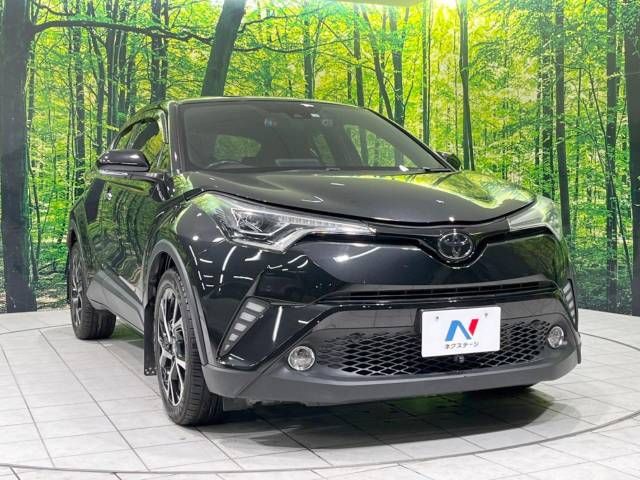Toyota C-HR 2018-03 195845-16