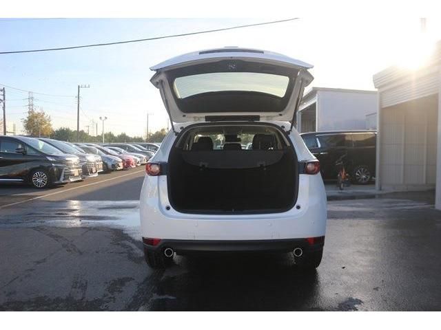 Mazda CX-5 2017-04 182803-12