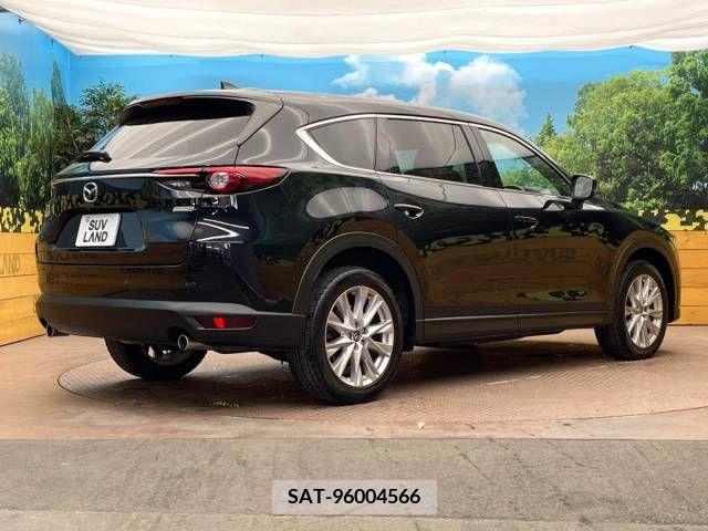 Mazda CX-8 2018-04 266271-18
