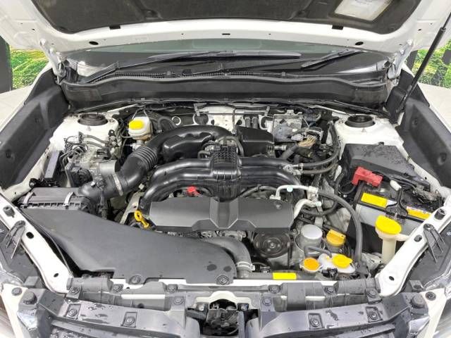 Subaru FORESTER 2016-01 1020-18