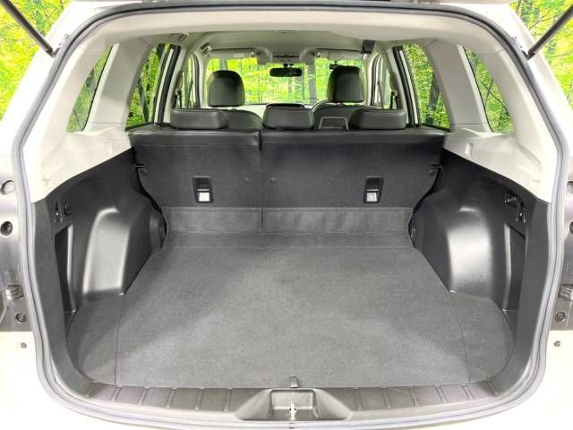 Subaru FORESTER 2016-01 1020-10