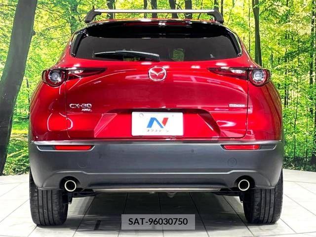 Mazda CX-30 2020-12 350229-15