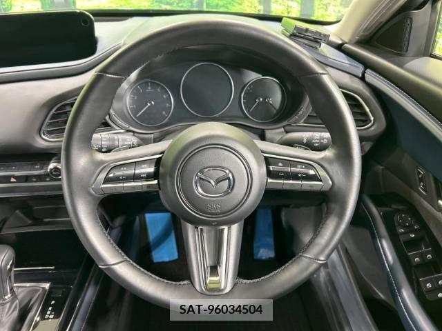 Mazda CX-30 2023-03 224181-11
