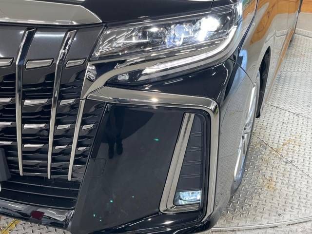Toyota ALPHARD 2021-09 19534-12