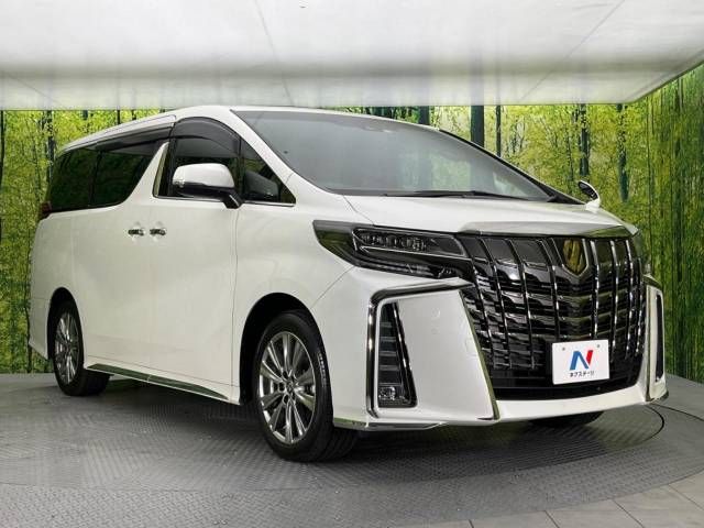 Toyota ALPHARD 2021-09 19584-17