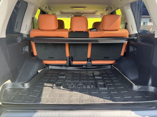 Lexus LX 2018-03 17347-28