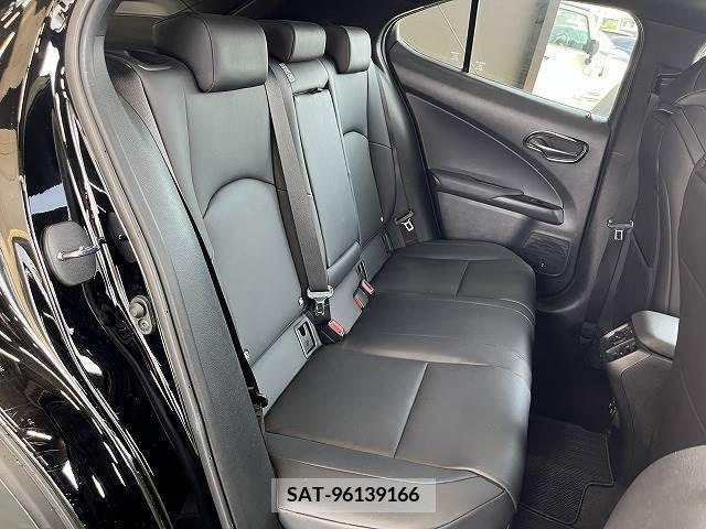 Lexus UX 2019-01 275925-9