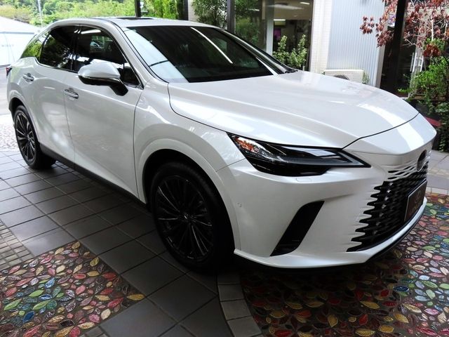 Lexus RX 2023-07 22297-8