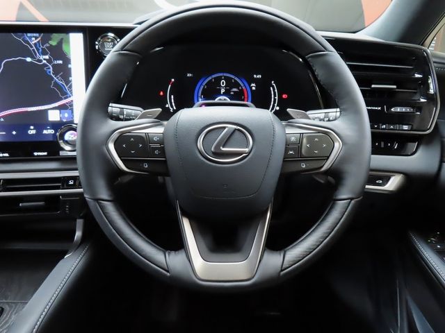 Lexus RX 2023-07 22297-21