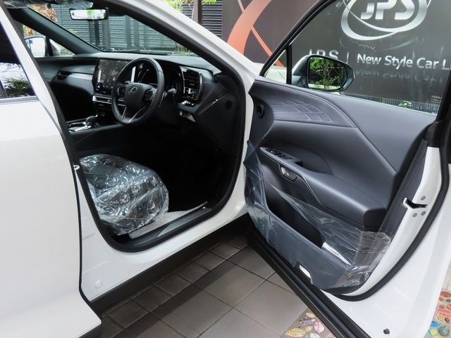Lexus RX 2023-07 22297-15