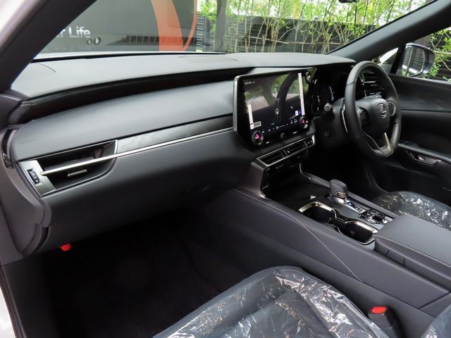 Lexus RX 2023-07 22297-12