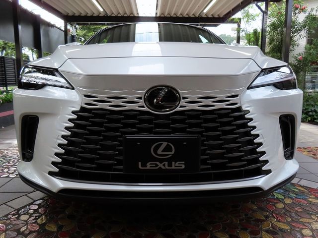 Lexus RX 2023-07 22297-3