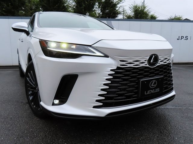 Lexus RX 2023-07 22297-28