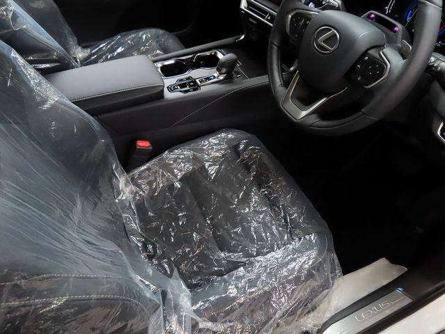 Lexus RX 2023-07 22297-18