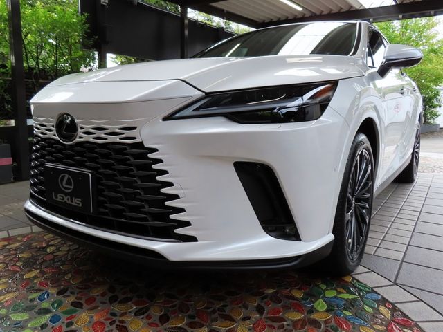 Lexus RX 2023-07 22297-6