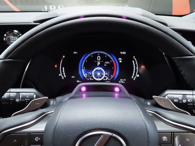 Lexus RX 2023-07 22297-22