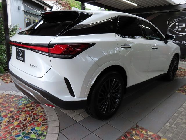 Lexus RX 2023-07 22297-9