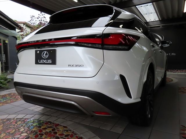 Lexus RX 2023-07 22297-1