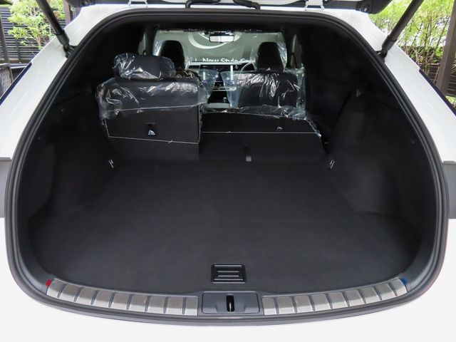 Lexus RX 2023-07 22297-26