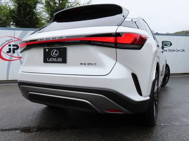 Lexus RX 2023-07 22297-29