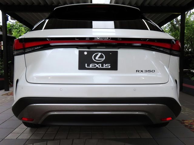 Lexus RX 2023-07 22297-4