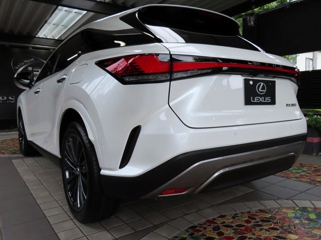 Lexus RX 2023-07 22297-7