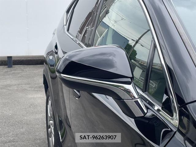 Lexus NX 2015-10 275712-13