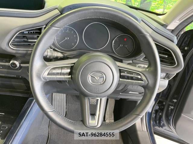 Mazda CX-30 2021-07 302111-11