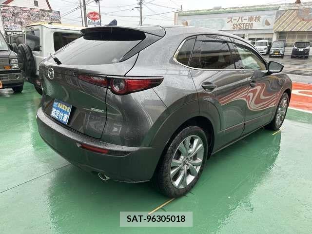 Mazda CX-30 2023-03 374946-11
