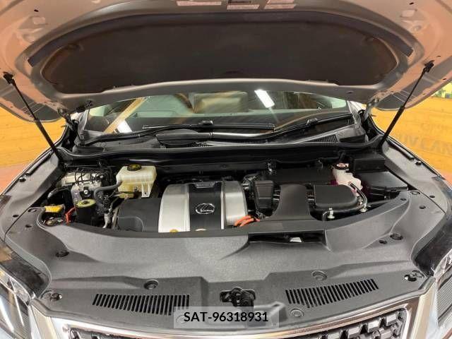 Lexus RX 2020-04 215841-18