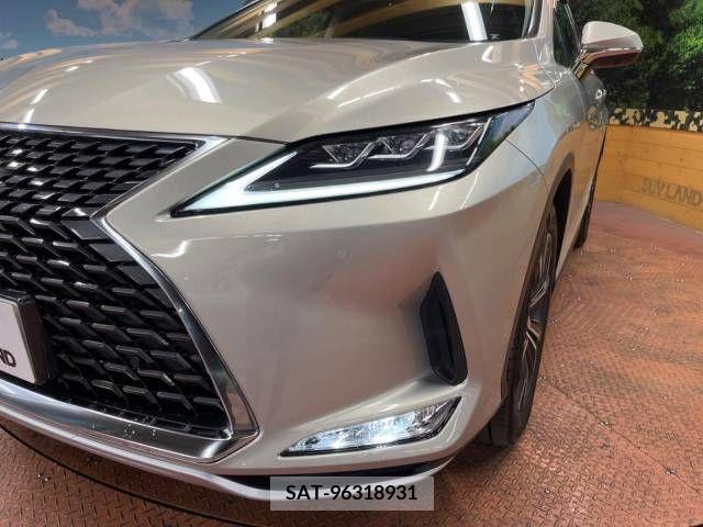 Lexus RX 2020-04 215841-12