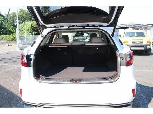 Lexus RX 2016-04 4130-17