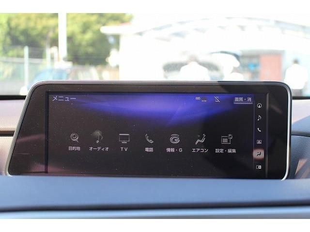 Lexus RX 2016-04 4130-2