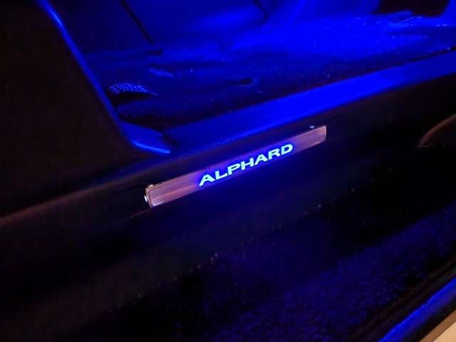 Toyota ALPHARD 2019-05 188030-14