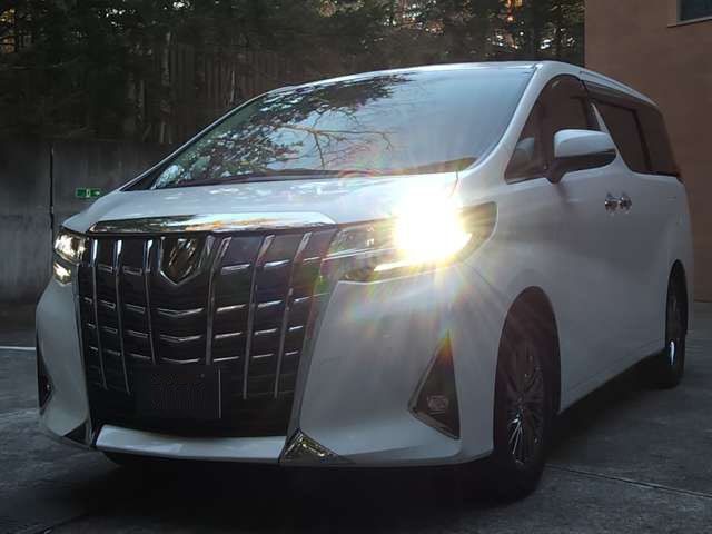 Toyota ALPHARD 2019-05 188030-17