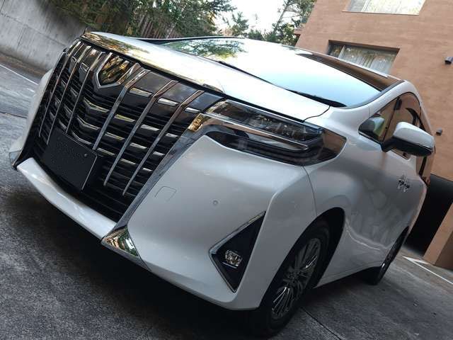 Toyota ALPHARD 2019-05 188030-1