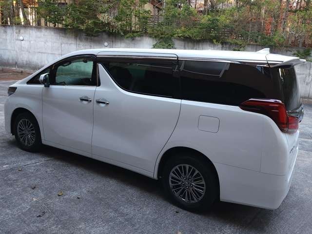 Toyota ALPHARD 2019-05 188030-3
