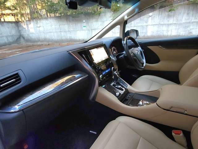 Toyota ALPHARD 2019-05 188030-6