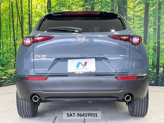 Mazda CX-30 2019-12 358487-15