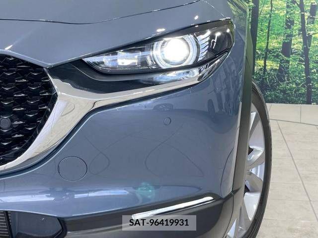 Mazda CX-30 2019-12 358487-12