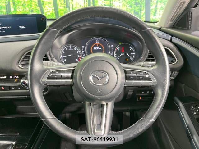 Mazda CX-30 2019-12 358487-11