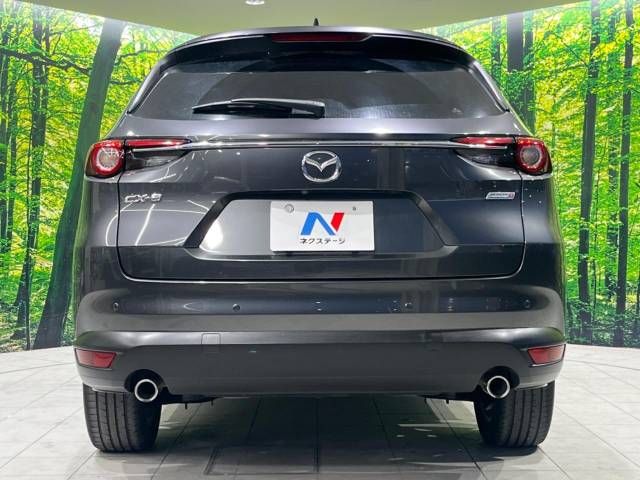 Mazda CX-8 2019-12 194164-15