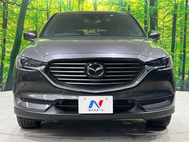 Mazda CX-8 2019-12 194164-14